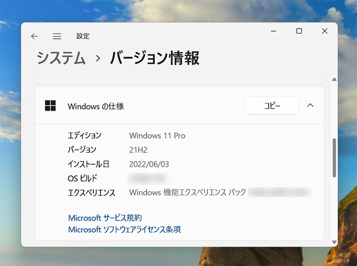 Windows 11 pro 64bit